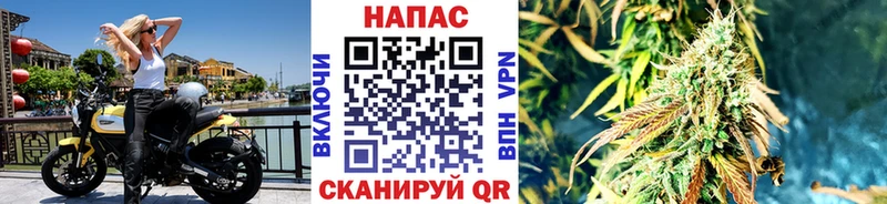 Бошки Шишки Ganja  цена   Кочубеевское 